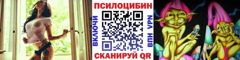 купить закладку  Курганинск  Галлюциногенные грибы Psilocybe 